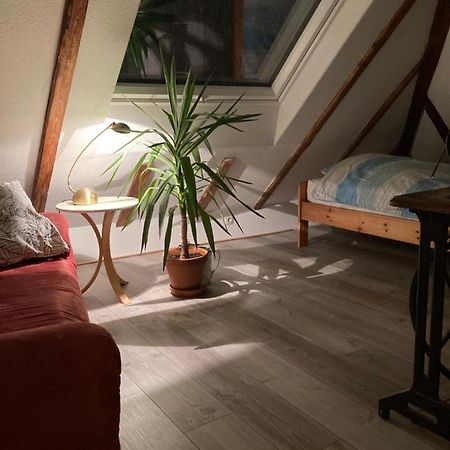 Privates Appartment Ferienwohnung Im Einfamilienhaus Dusseldorf Bagian luar foto