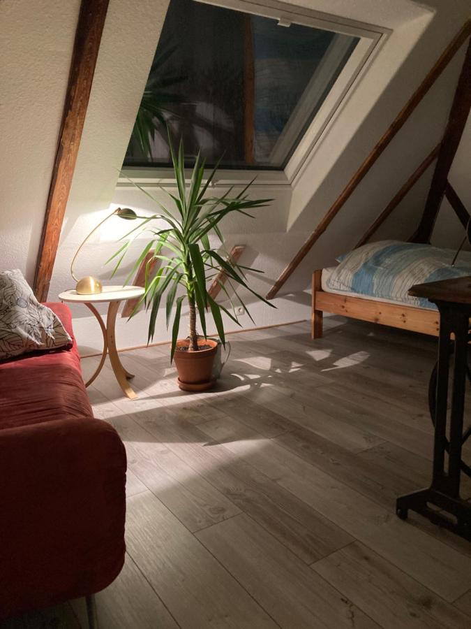 Privates Appartment Ferienwohnung Im Einfamilienhaus Dusseldorf Bagian luar foto
